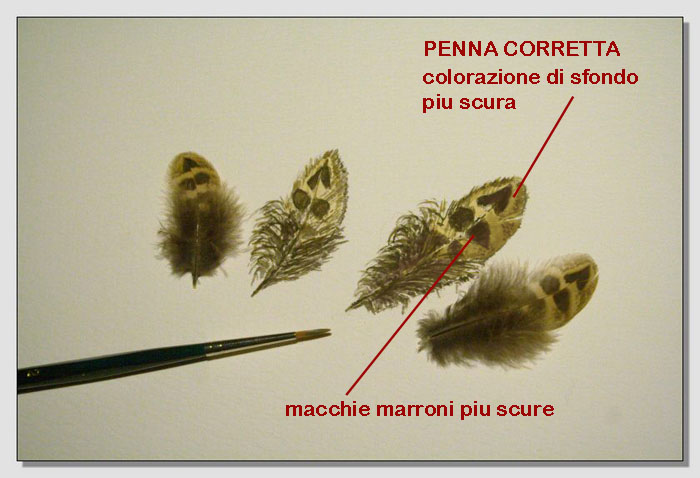correzioni della seconda lezione